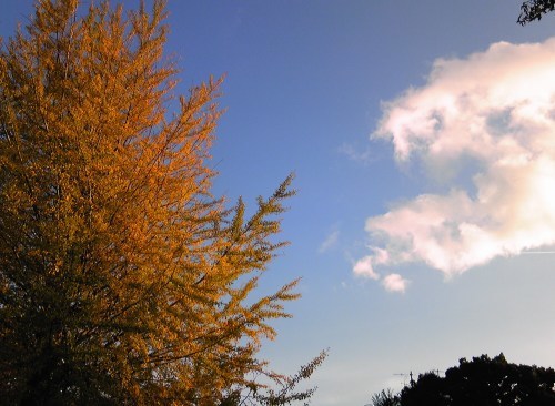 b0285619_17131136.jpg