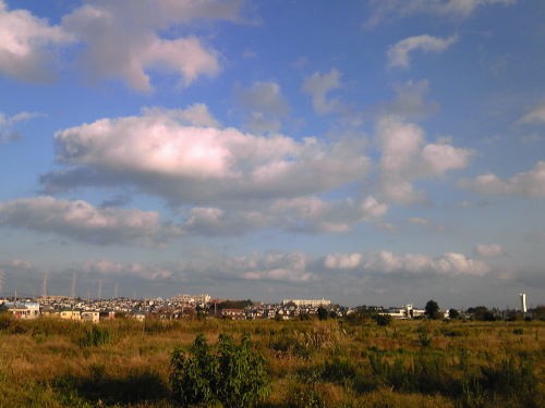 b0285619_17132464.jpg