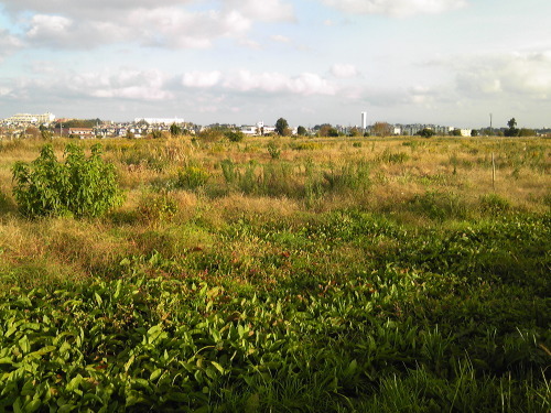 b0285619_17135861.jpg