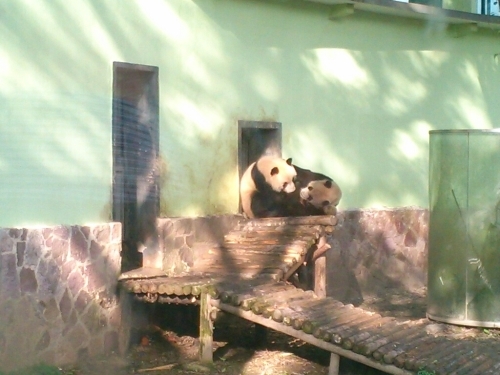 d0158621_21340821.jpg