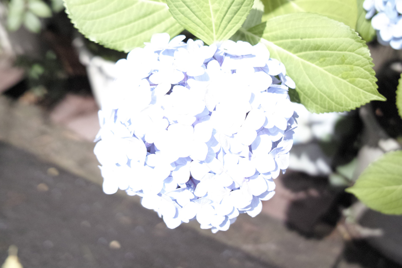 c0176622_14352475.jpg