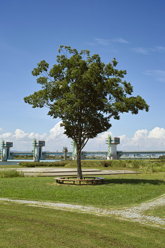 c0176622_14353351.jpg