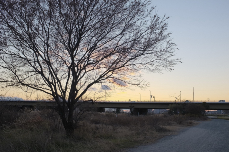 c0176622_14434713.jpg