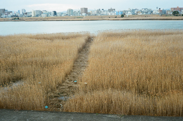 c0176622_14461090.jpg