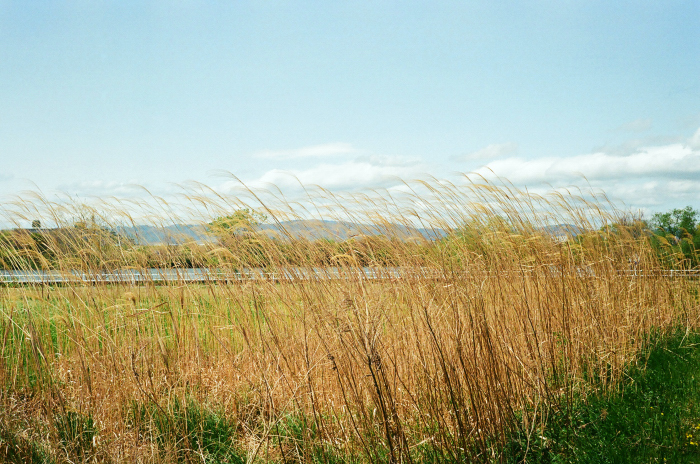 c0176622_14472314.jpg