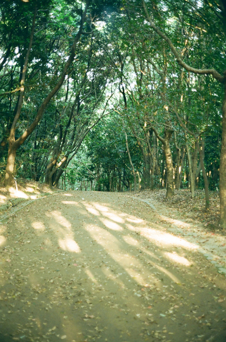 c0176622_14482941.jpg