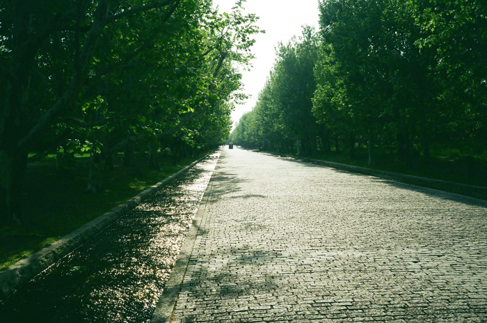 c0176622_14484009.jpg