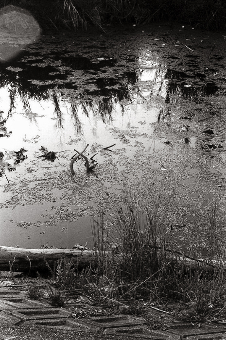c0176622_14491025.jpg