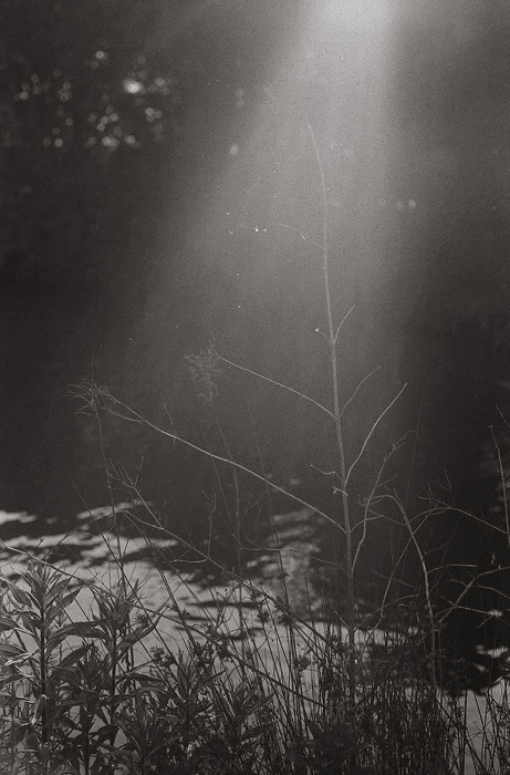 c0176622_14491612.jpg