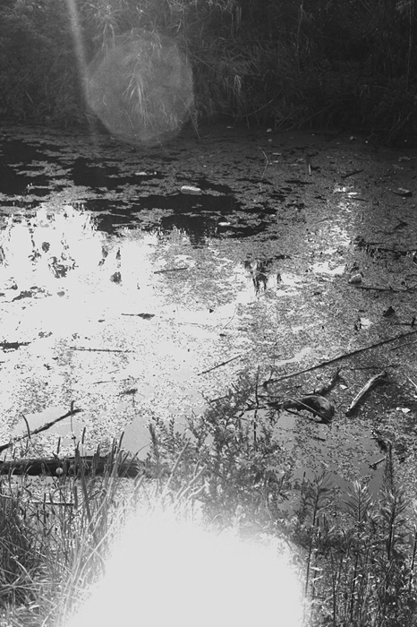 c0176622_14491883.jpg