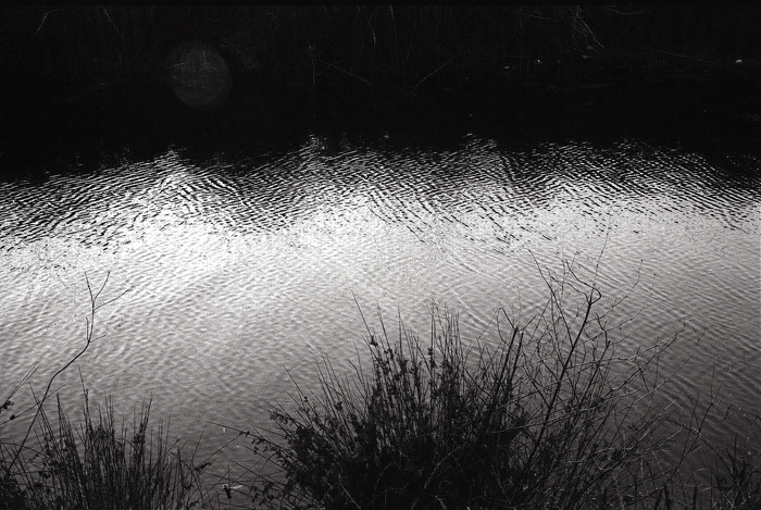 c0176622_14492995.jpg