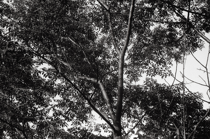 c0176622_14493091.jpg