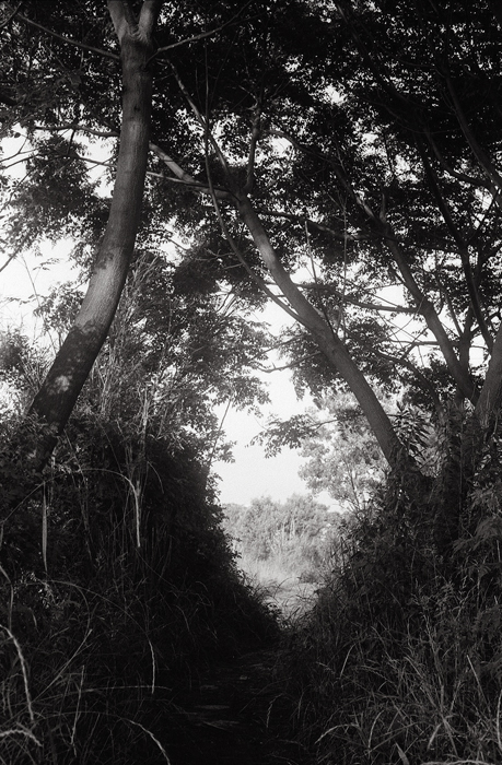 c0176622_14493276.jpg