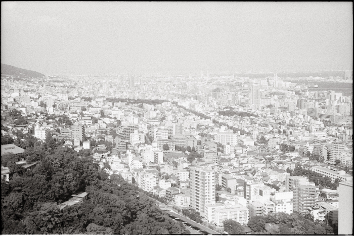 c0176622_14525486.jpg
