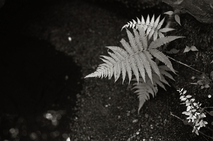 c0176622_14541797.jpg