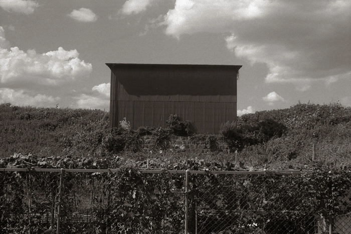 c0176622_14544254.jpg