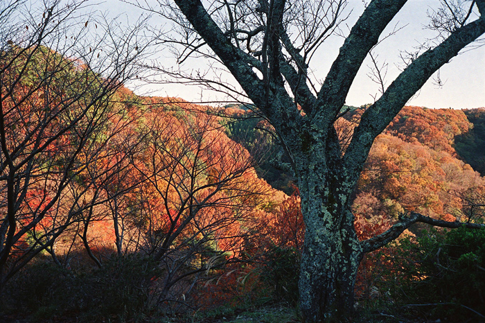 c0176622_15023434.jpg