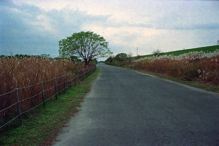 c0176622_15032038.jpg