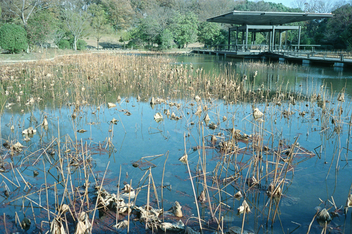 c0176622_15033239.jpg