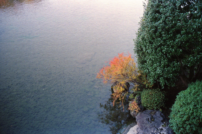c0176622_15034691.jpg