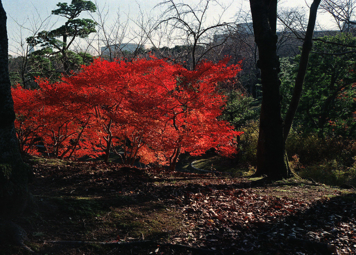 c0176622_15040023.jpg