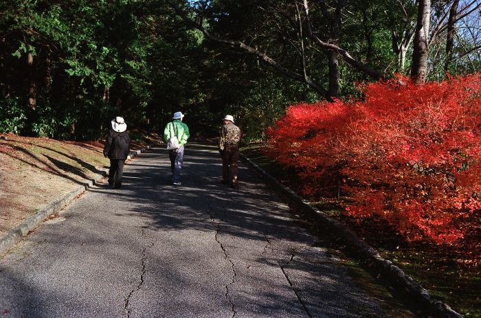 c0176622_15040241.jpg
