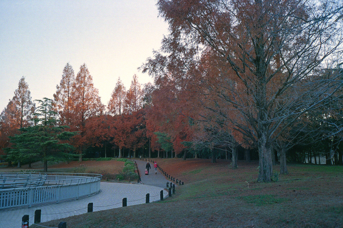 c0176622_15041245.jpg