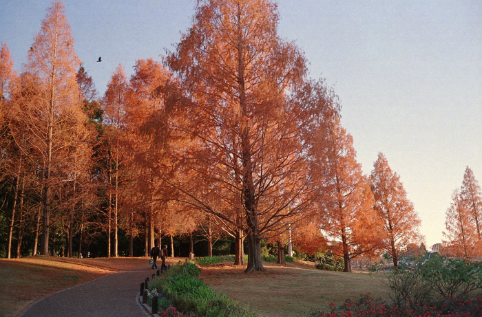 c0176622_15041461.jpg