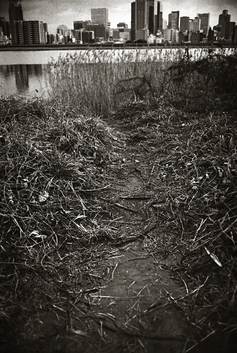 c0176622_15045977.jpg