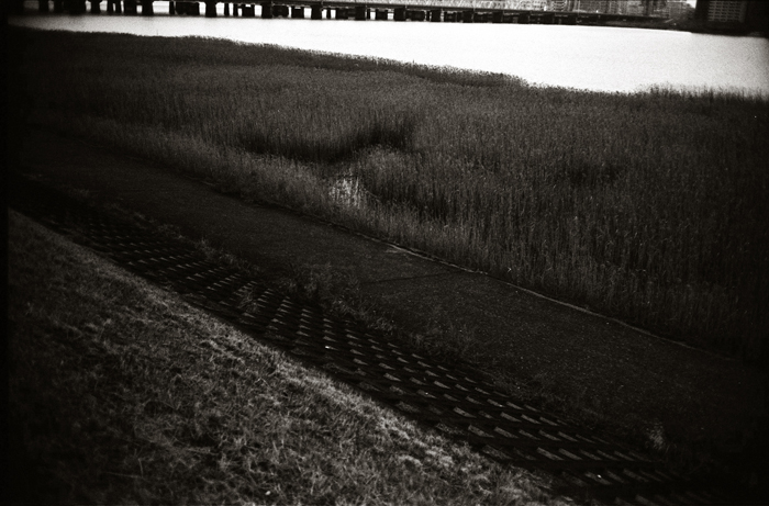 c0176622_15051972.jpg
