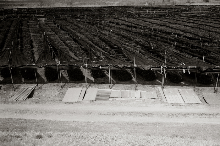 c0176622_15083085.jpg