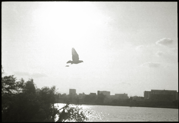 c0176622_15095524.jpg
