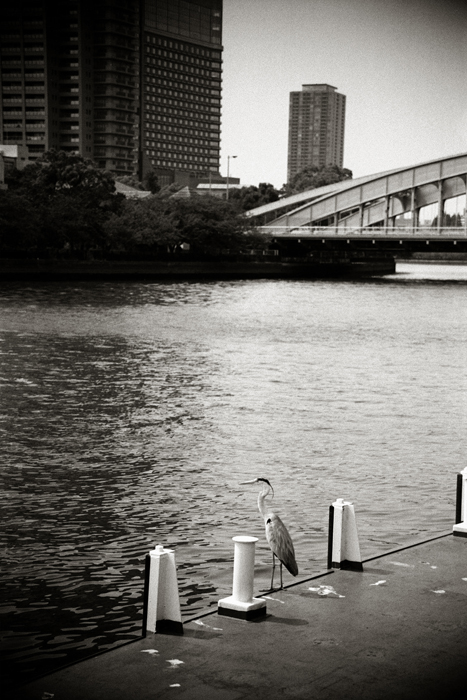 c0176622_15104228.jpg