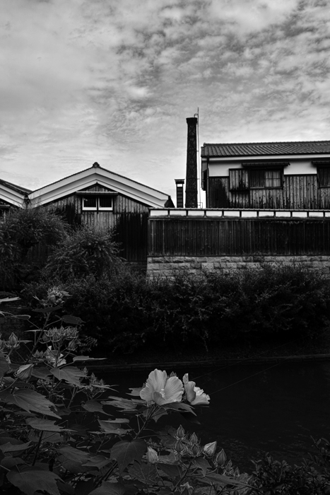 c0176622_15194316.jpg