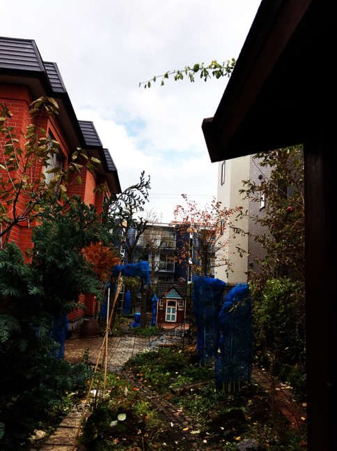 f0170524_10560811.jpg