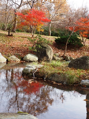 c0204725_11534367.jpg
