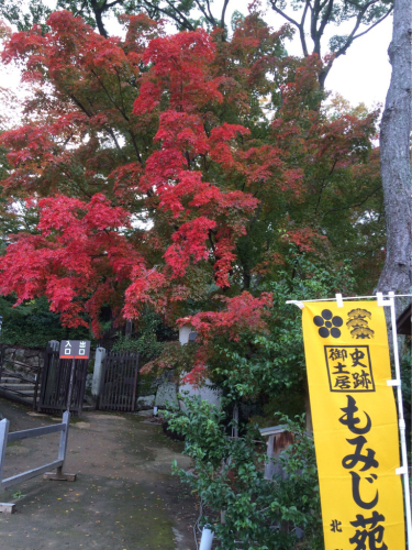 紅葉の秋、藤井眞吾コンサートシリーズ_e0103327_21021184.jpg