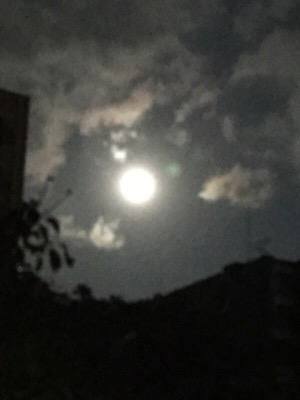 e0119327_19483271.jpg