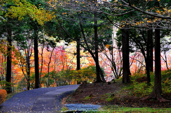 福島県伊達郡桑折町 半田沼自然公園の紅葉 フォトハウス In 福島