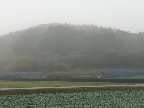 c0077330_16431620.jpg