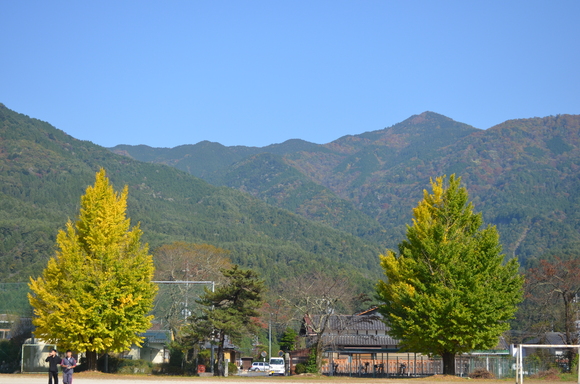 駅伝交流会_d0010630_558780.jpg