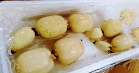 れんこん三兄弟 のれんこんうまうま Nuku Nuku
