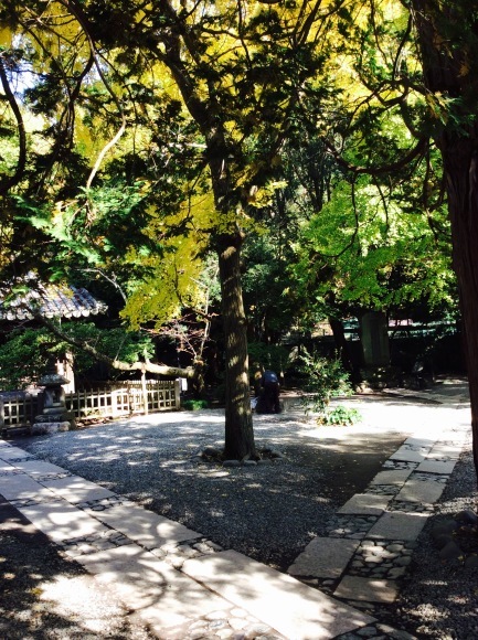 d0269832_09002254.jpg
