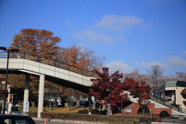 f0229832_09440129.jpg