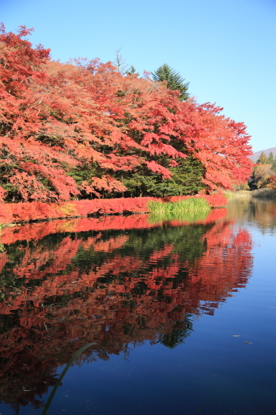 １６年紅葉旅　軽井沢～小諸その２_f0229832_09443274.jpg