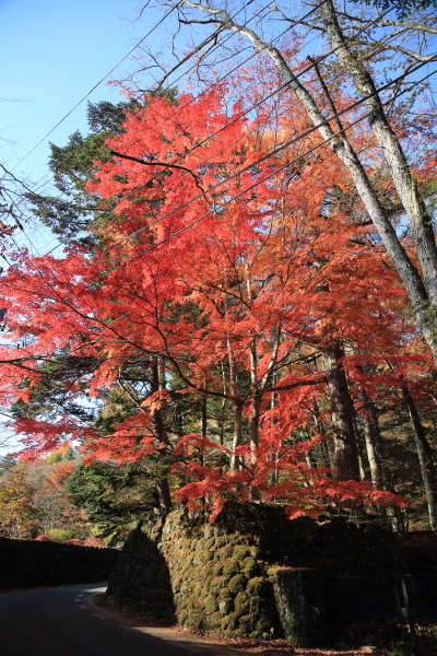 １６年紅葉旅　軽井沢～小諸その２_f0229832_09453561.jpg