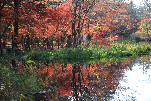 １６年紅葉旅　軽井沢～小諸その２_f0229832_09461318.jpg