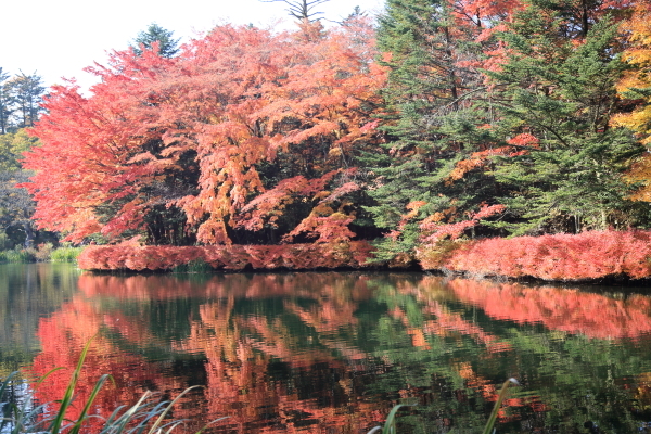 １６年紅葉旅　軽井沢～小諸その２_f0229832_09470007.jpg