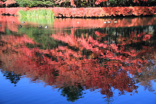 f0229832_09484252.jpg