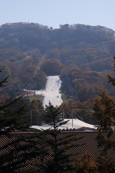 f0229832_09502269.jpg